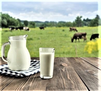 fresh-milk-glass-dark-wooden-table-blurred-landscape-with-cow-meadow-healthy-eating-rustic-style-1-390x350